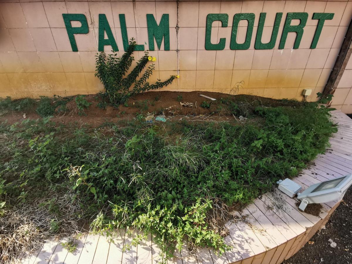 Diy Palm Court Bedroom Куантан Екстер'єр фото